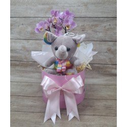 Kit Maternidade Menina com Mini Orquídea 2 Hastes Pote 9 - Cor Variada + Pelúcia Kit Maternidade Menina com Mini Orquídea 2 Hastes Pote 9 - Cor Variada + Pelúcia